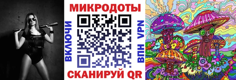 blacksprut ССЫЛКА  Шебекино  Псилоцибиновые грибы мицелий 